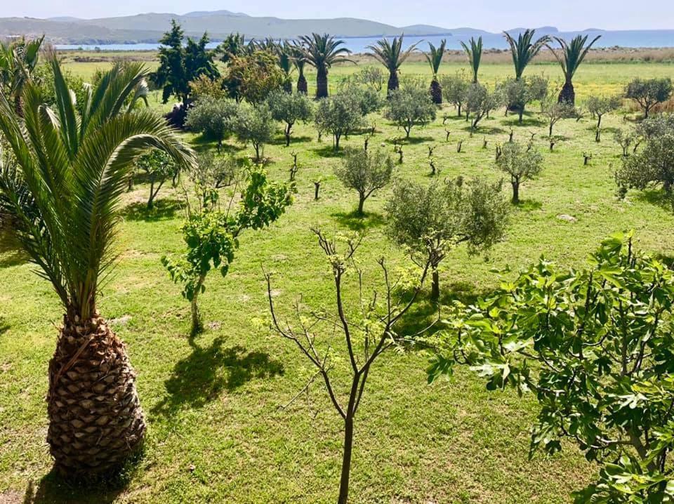 Evgatisbeach Loyskoy 2 ميرينا المظهر الخارجي الصورة